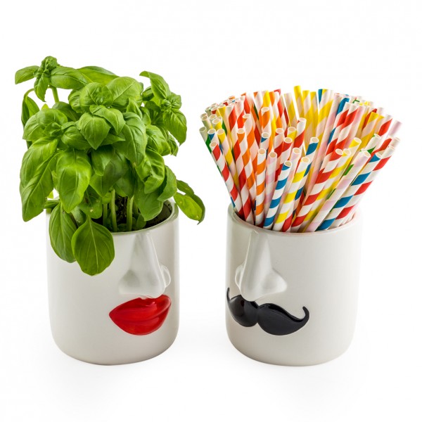 Intrepid Interior Ceramic Pots Mr